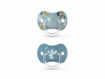 Picture of SUAVINEX 0-6M SOOTHER INTO THE FOREST 2 PACK BLUE